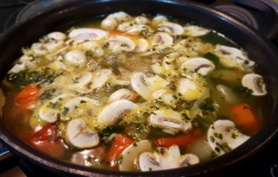 Chicken broth, Quinoa & Mushrooms plus soup