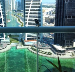 JLT LT View - Dubai